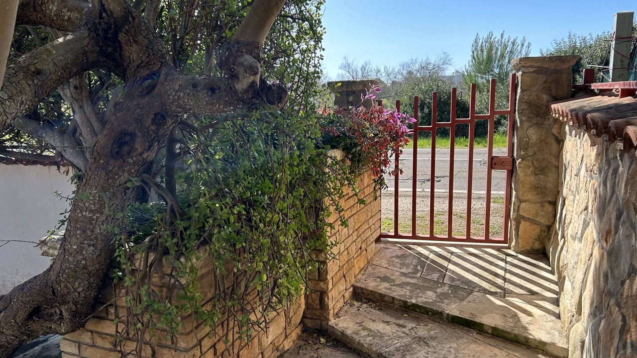 Photo of Outdoor in Torre Lapillo