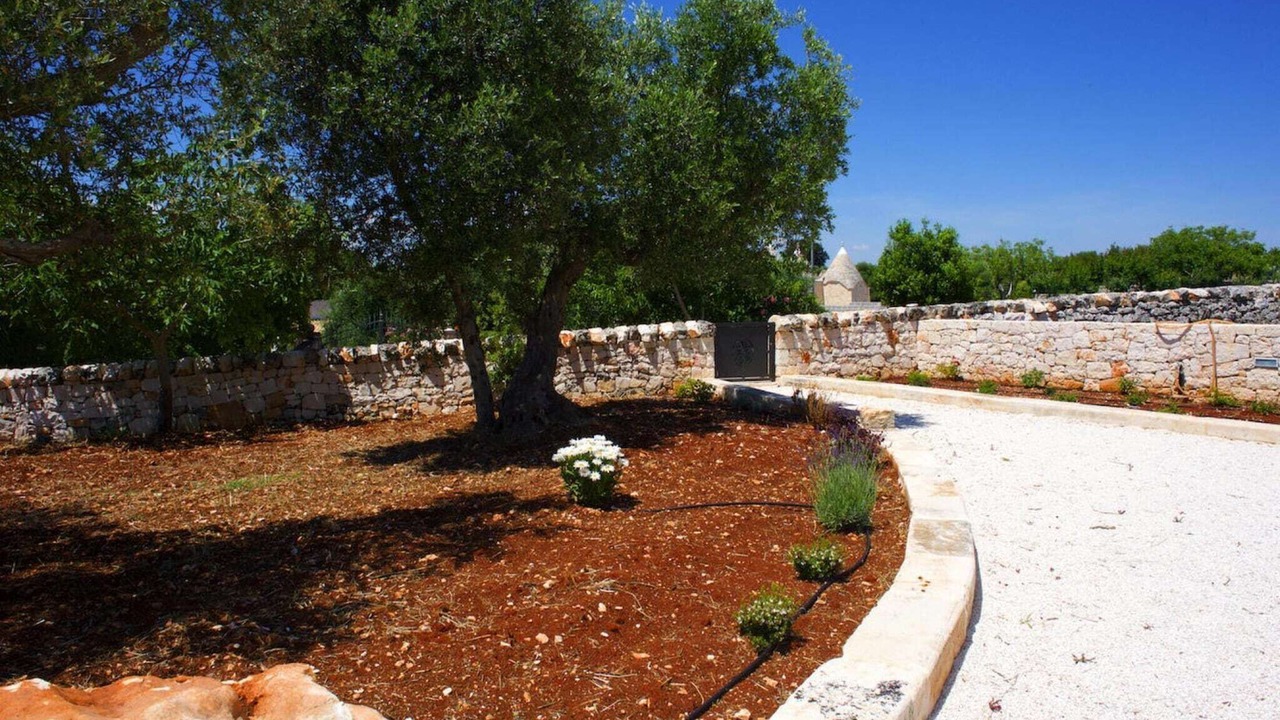Photo of Others in Cisternino