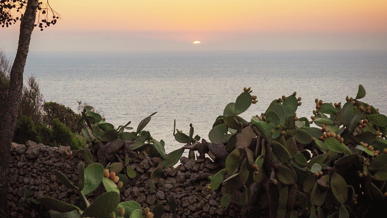 Photo of Others in Gagliano del Capo