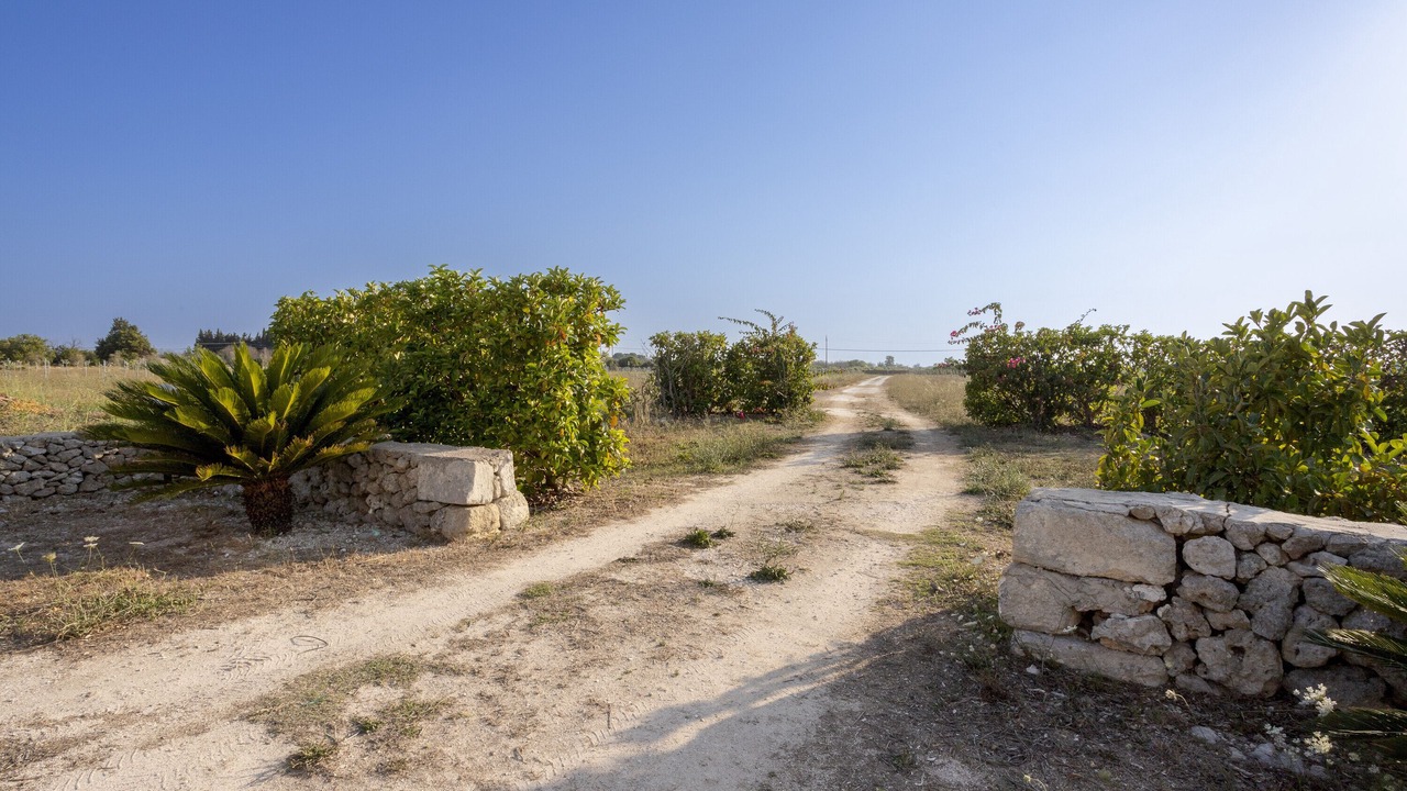 Photo of Others in Otranto