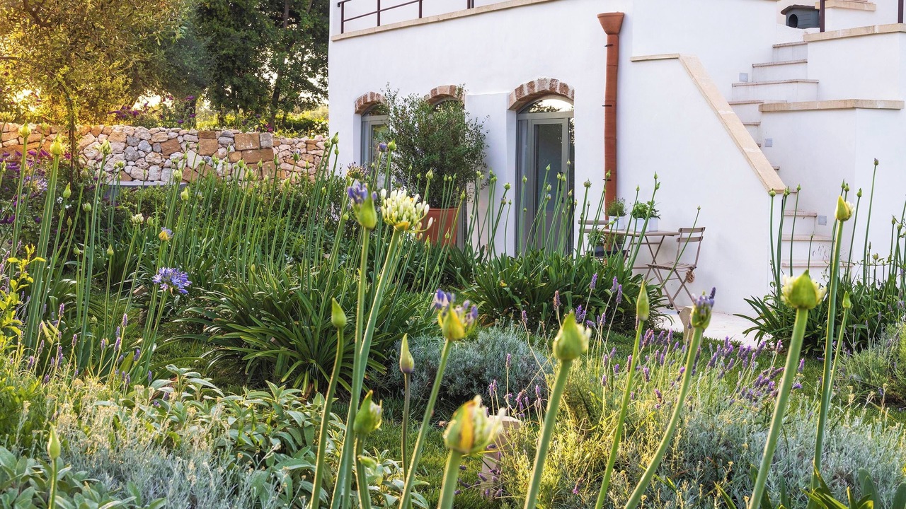 Photo of Outdoor in Lido Silvana