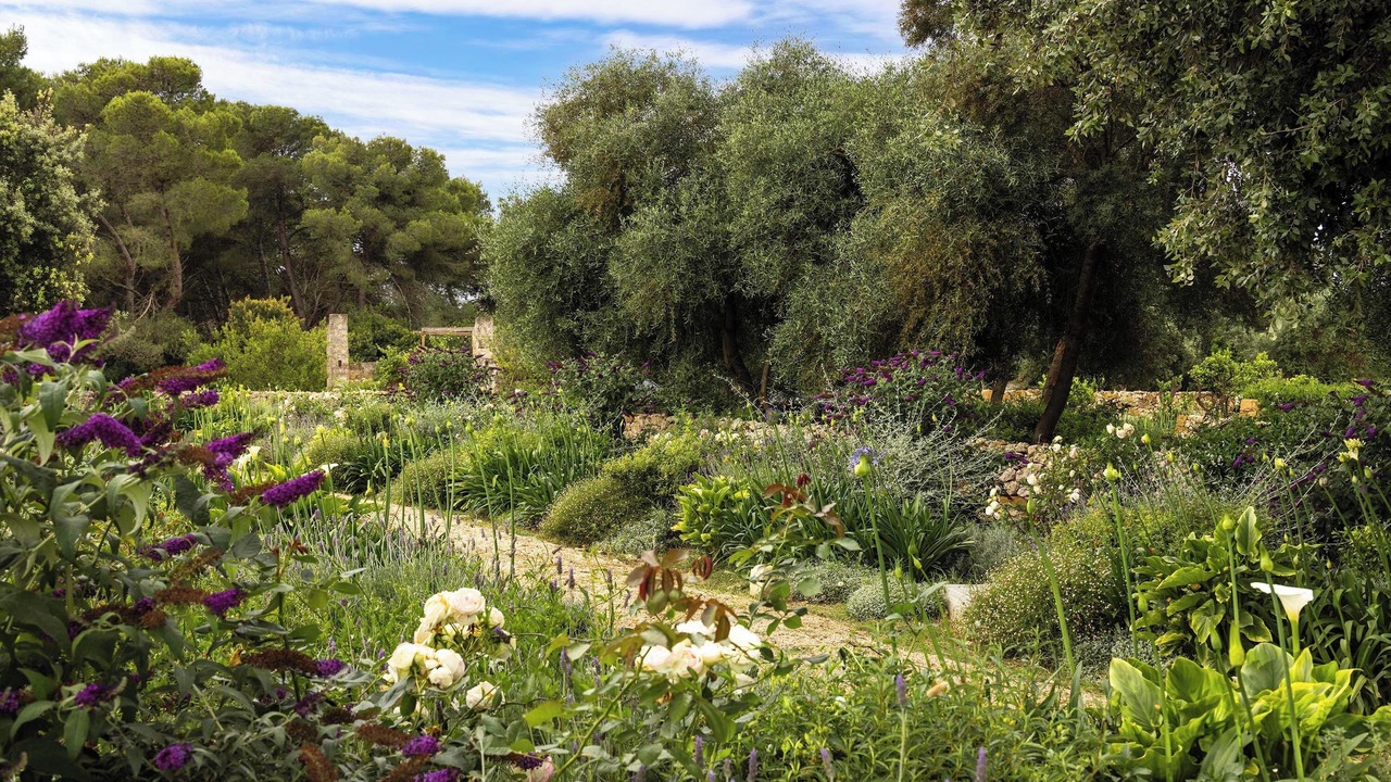 Photo of Outdoor in Lido Silvana