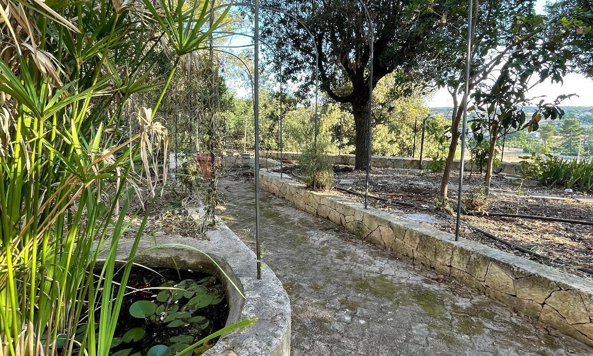 Photo of Outdoor in Fasano