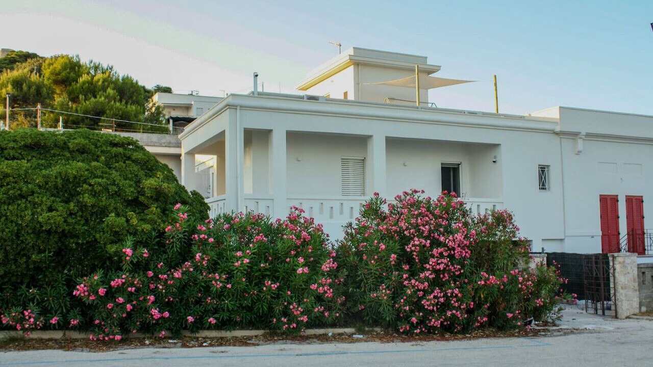 Photo of Outdoor in Santa Cesarea Terme