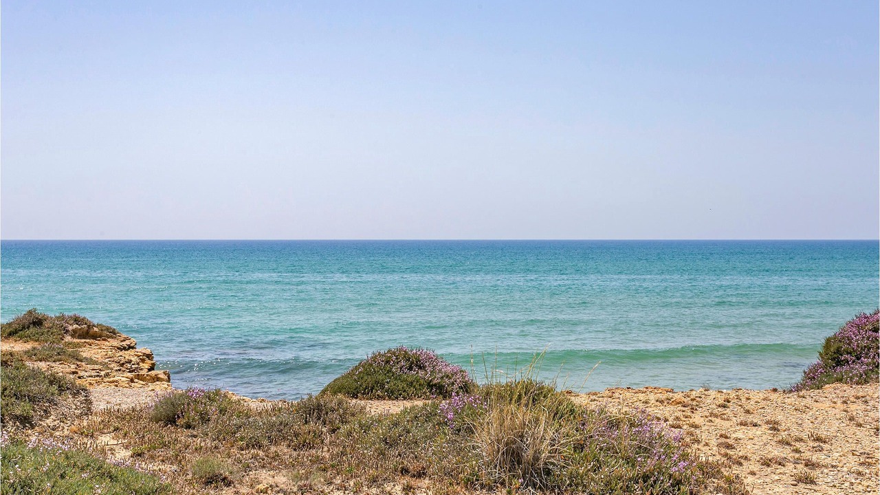 Photo of Others in Manfredonia