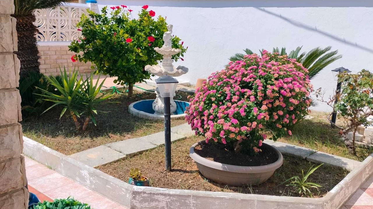 Photo of Outdoor in Lendinuso
