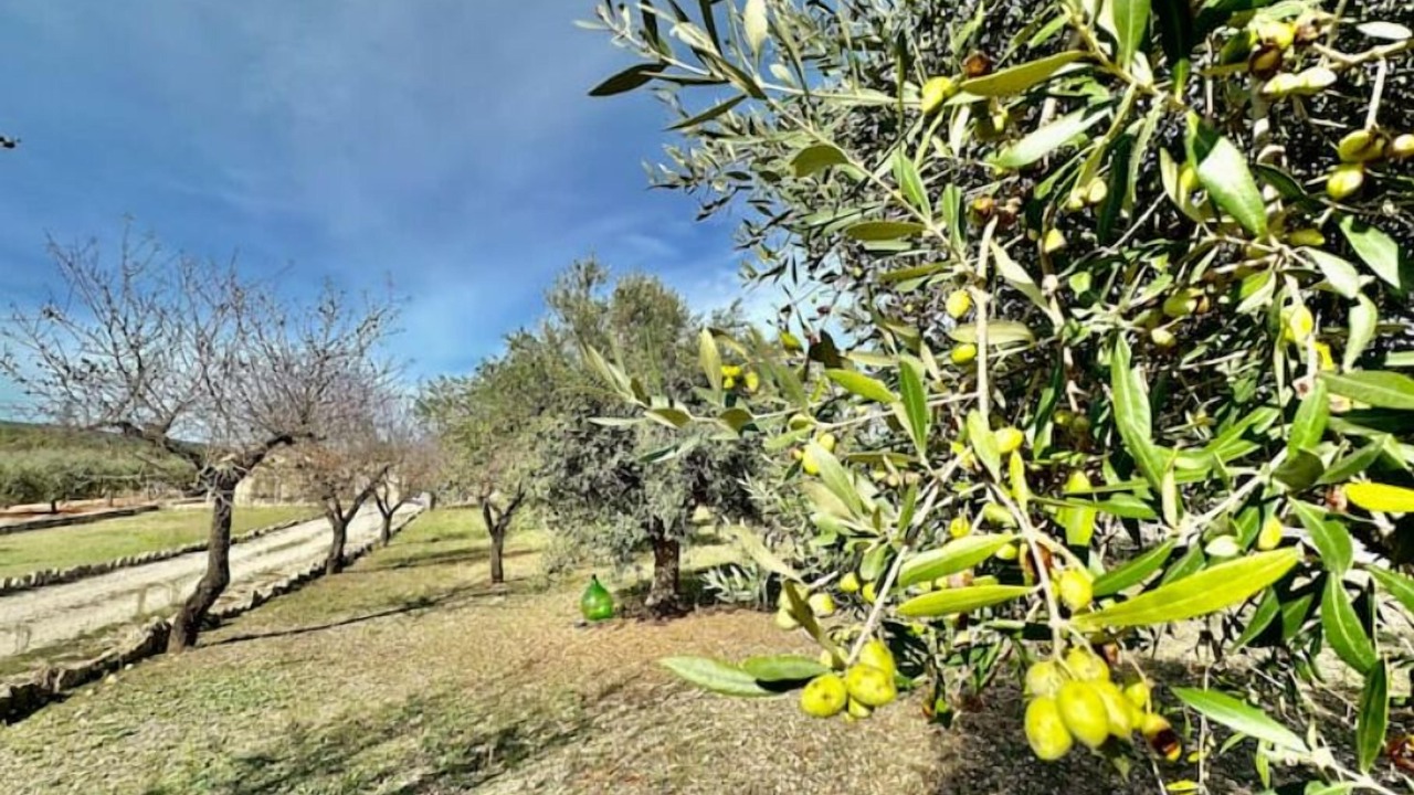 Photo of Outdoor in Alberobello