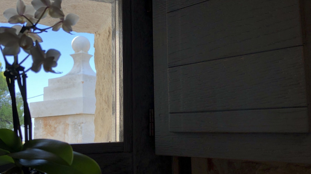Photo of Others in Alberobello