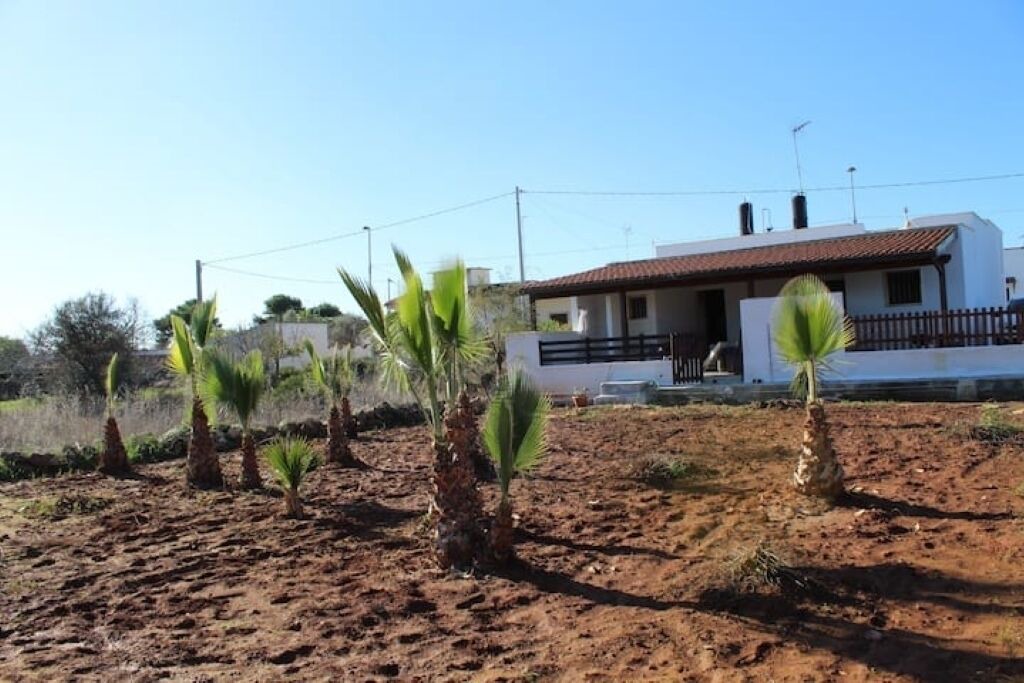 Photo of Outdoor in Posto Rosso