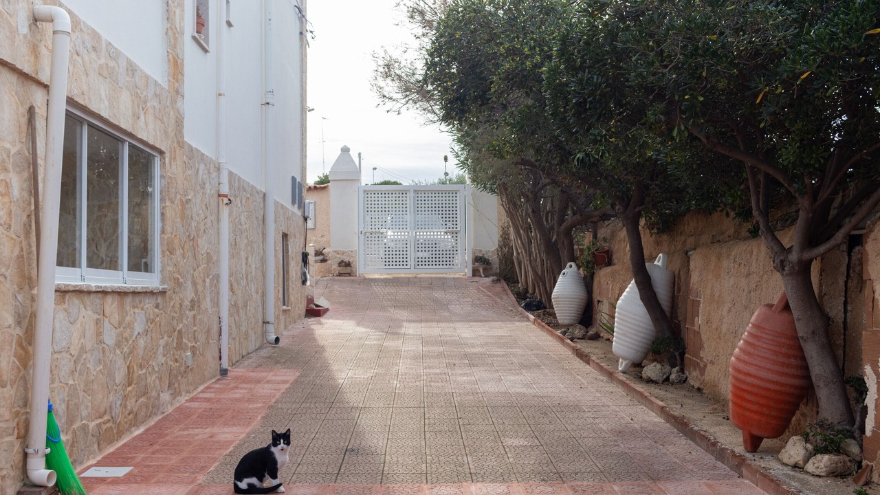 Photo of Outdoor in Mola di Bari