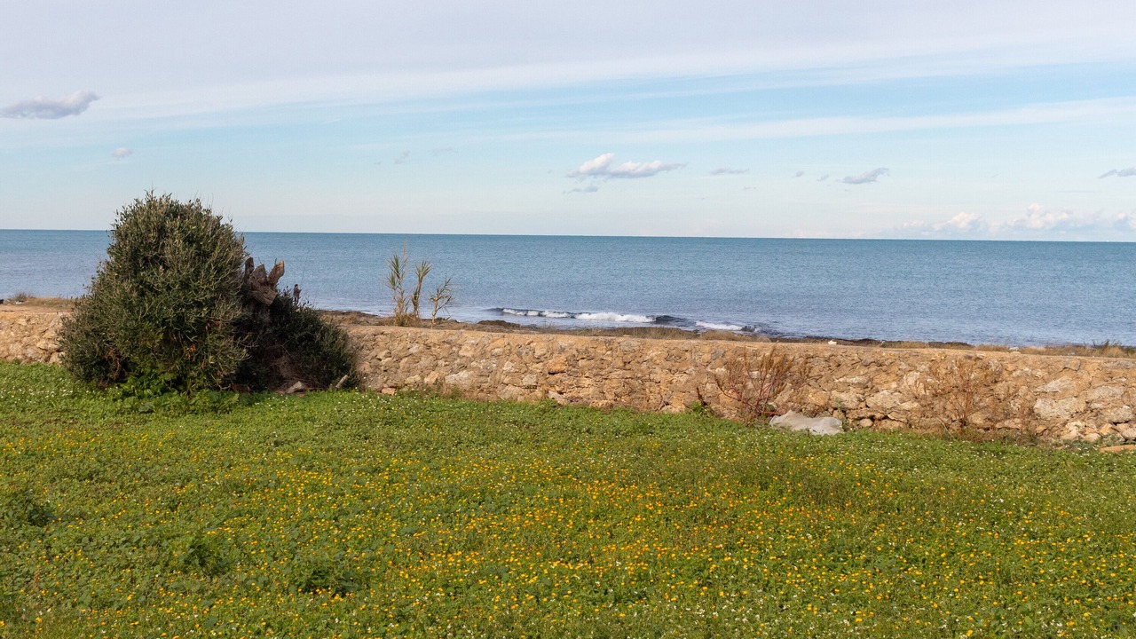 Photo of Others in Mola di Bari