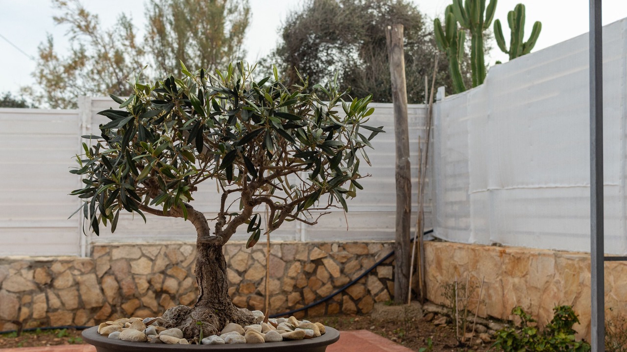 Photo of Outdoor in Mola di Bari