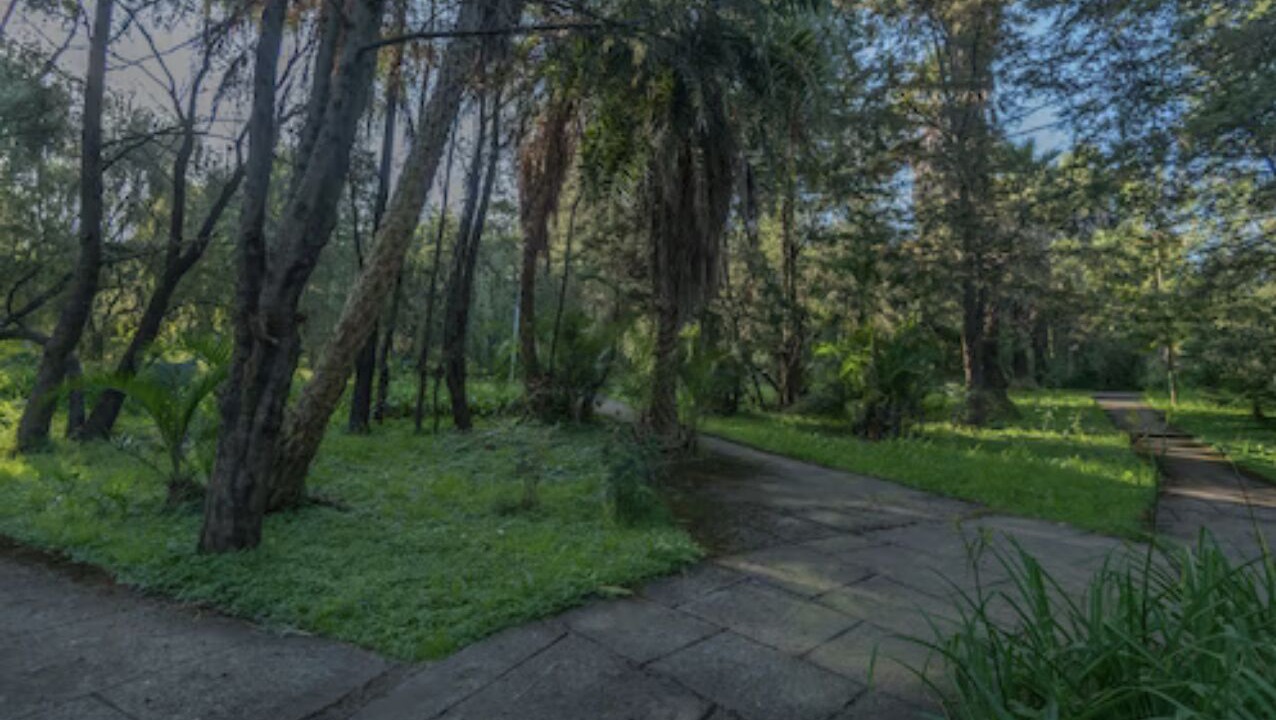 Photo of Outdoor in Kirkos
