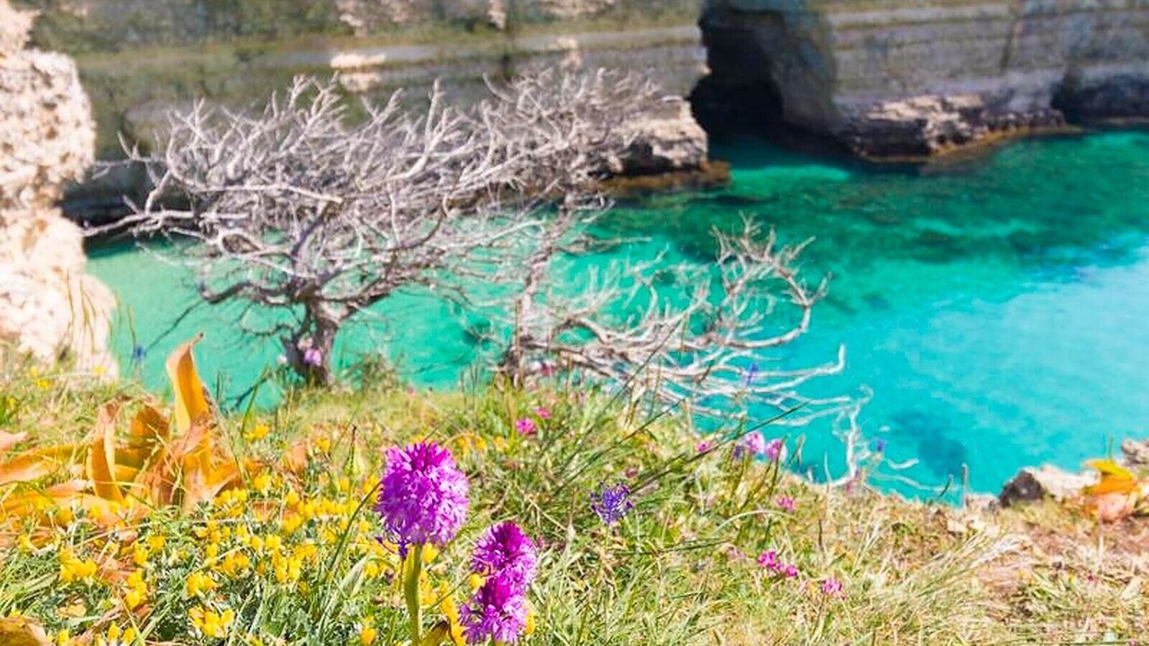 Photo of Outdoor in Otranto Historic Centre