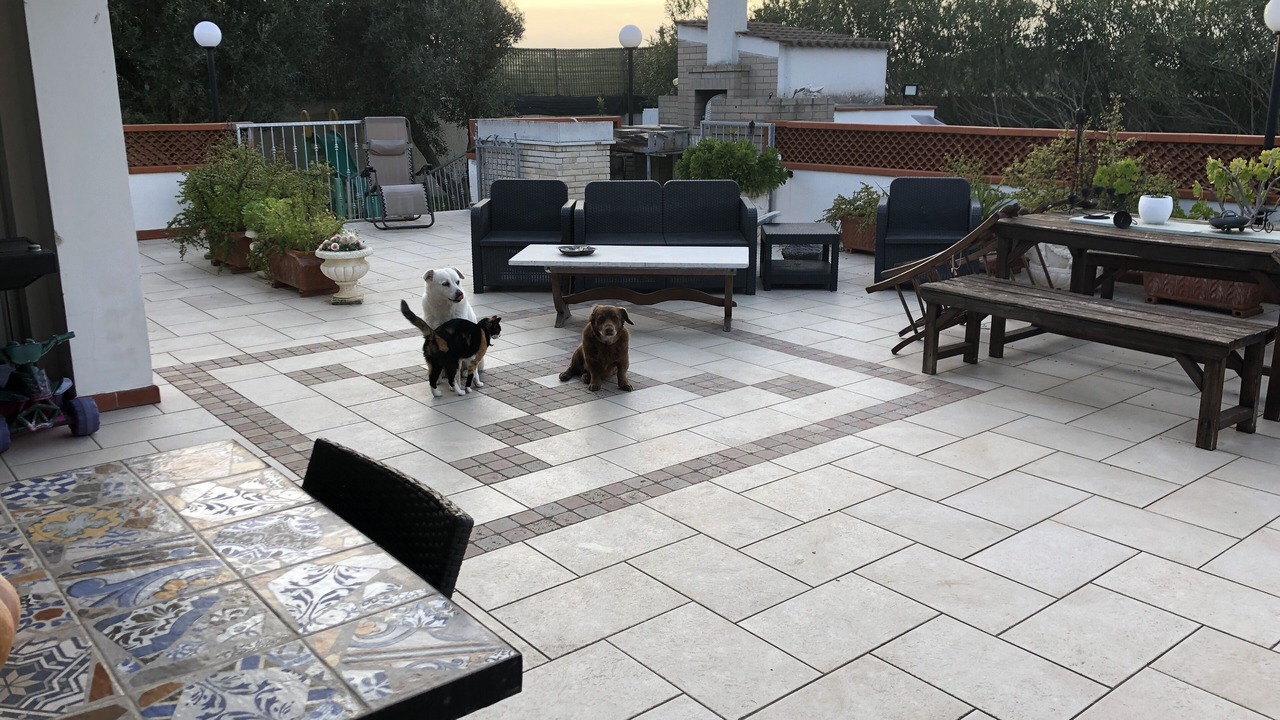 Photo of Outdoor in Brindisi
