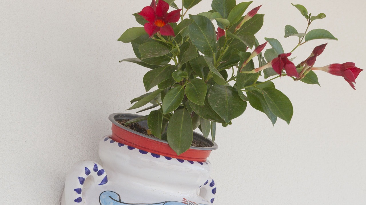 Photo of Outdoor in Conversano