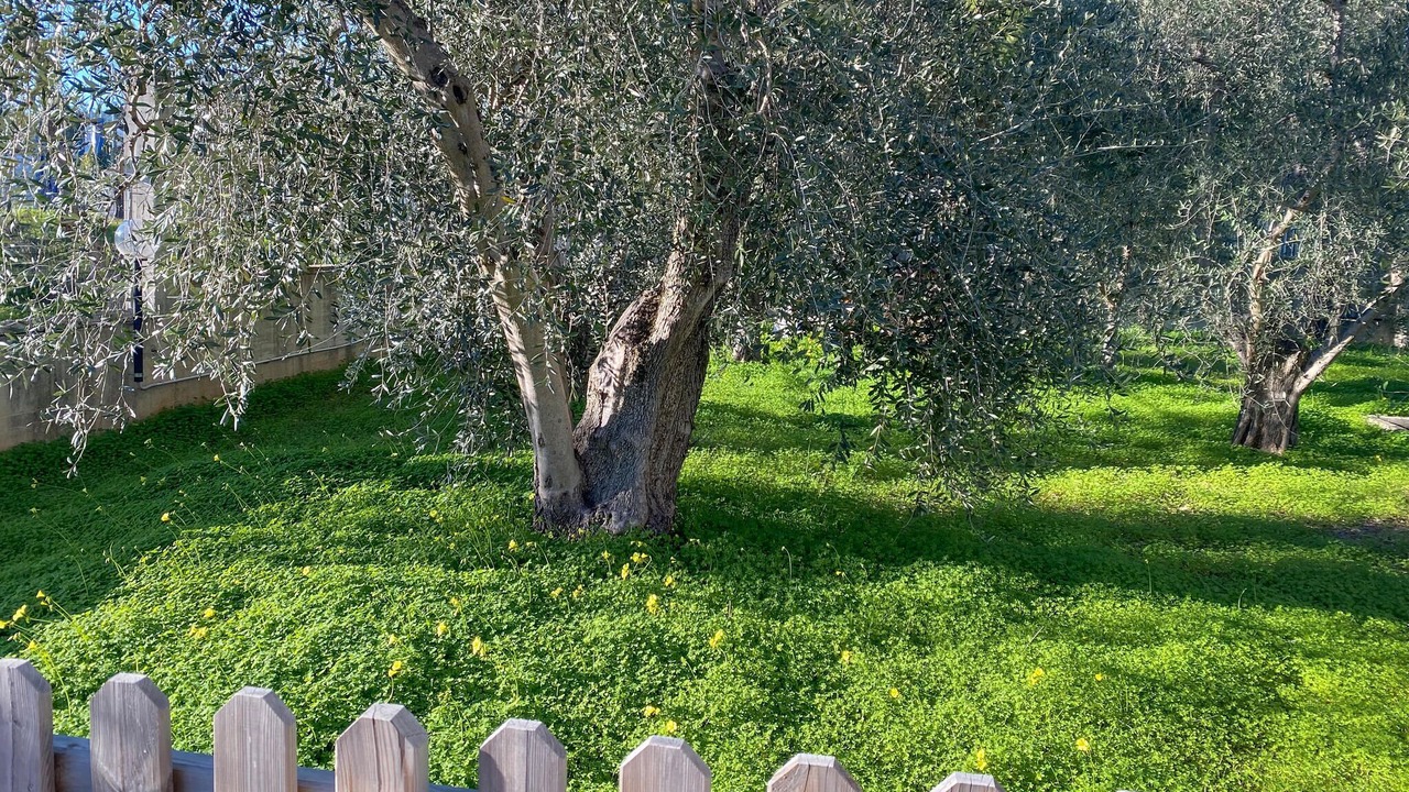 Photo of Others in Montincello