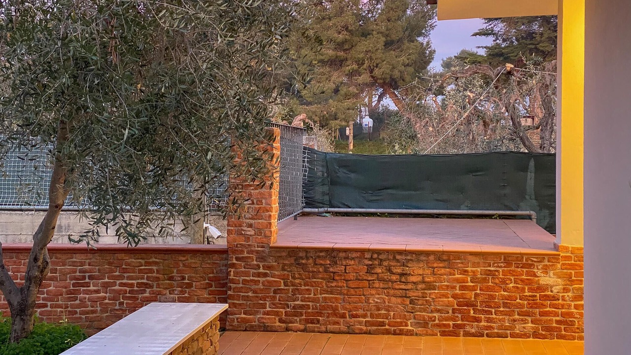 Photo of Others in Montincello