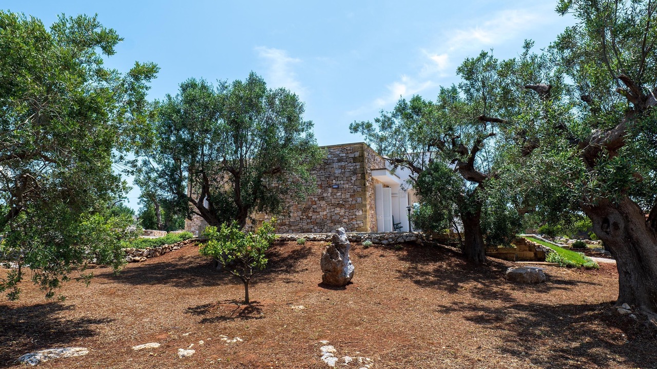 Photo of Outdoor in Torre Vado
