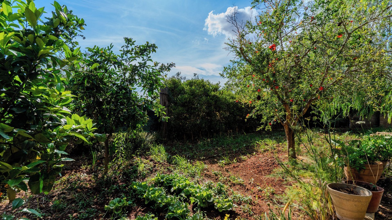 Photo of Outdoor in Depressa