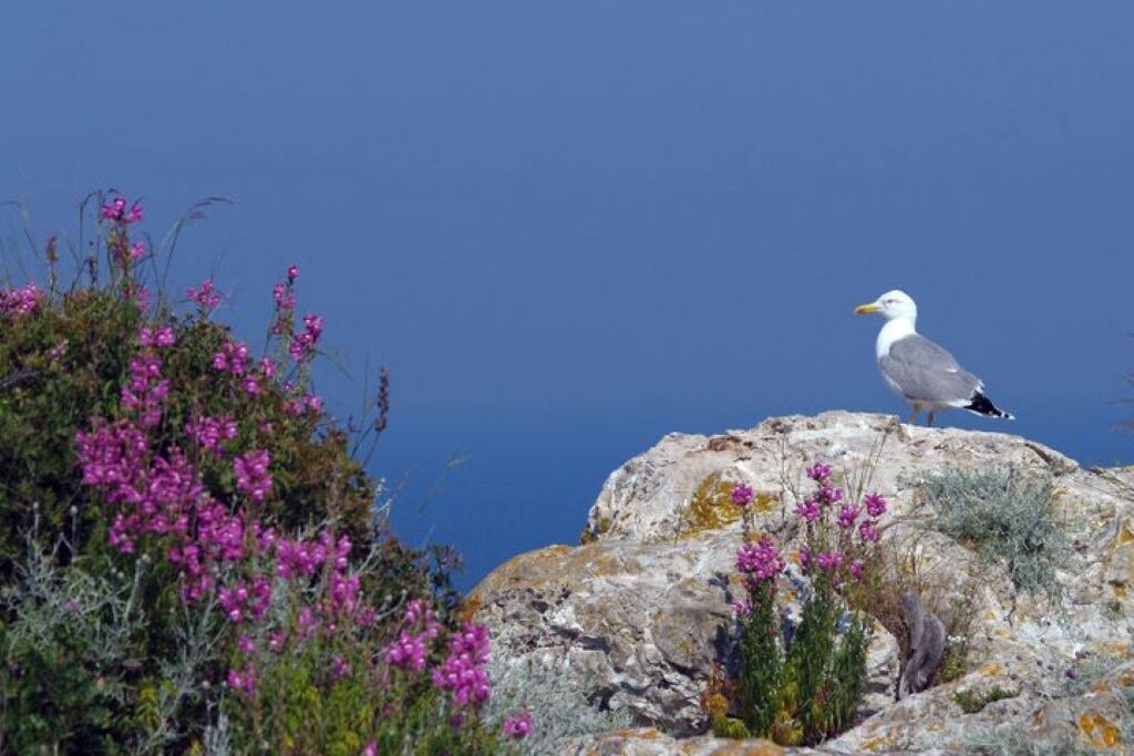 Photo of Outdoor in Mattinata