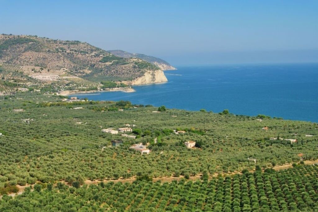 Photo of Outdoor in Mattinata
