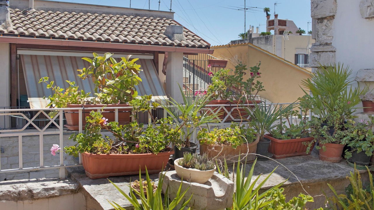 Photo of Outdoor in Terlizzi