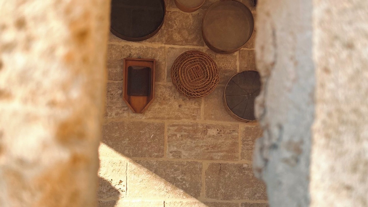 Photo of Others in Felline