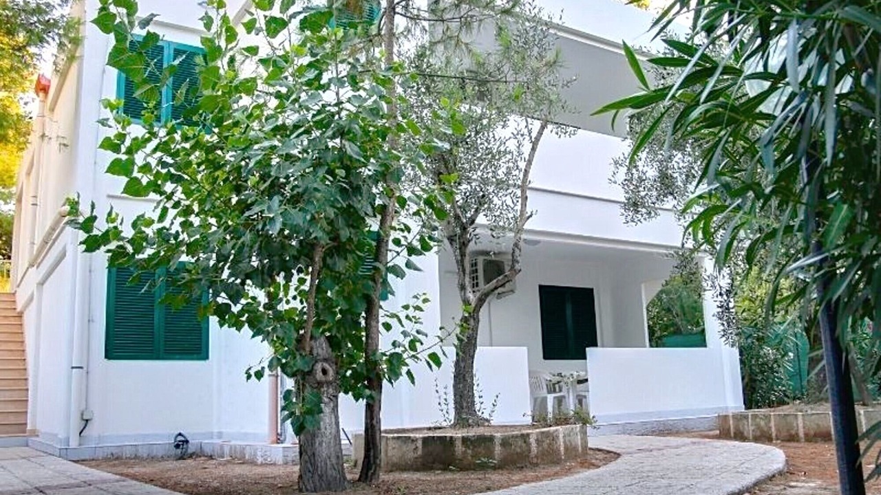 Photo of Outdoor in Scialara