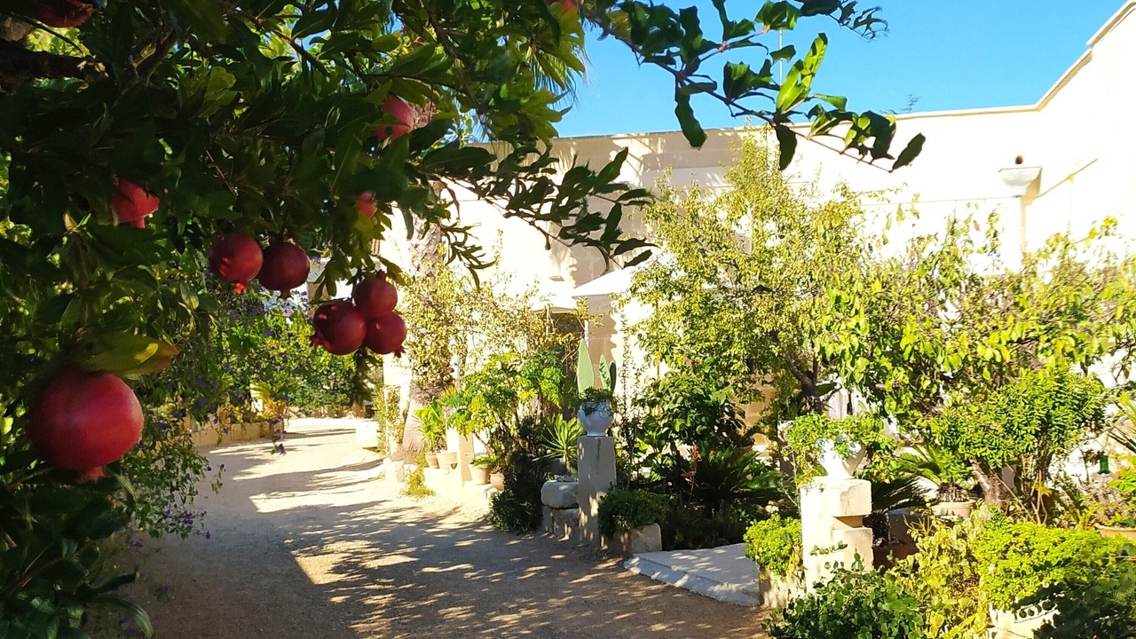 Photo of Outdoor in Maglie