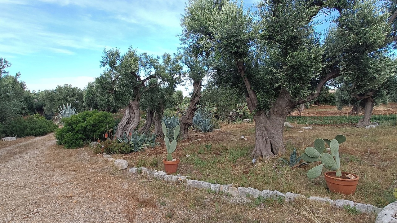 Photo of Outdoor in Conversano