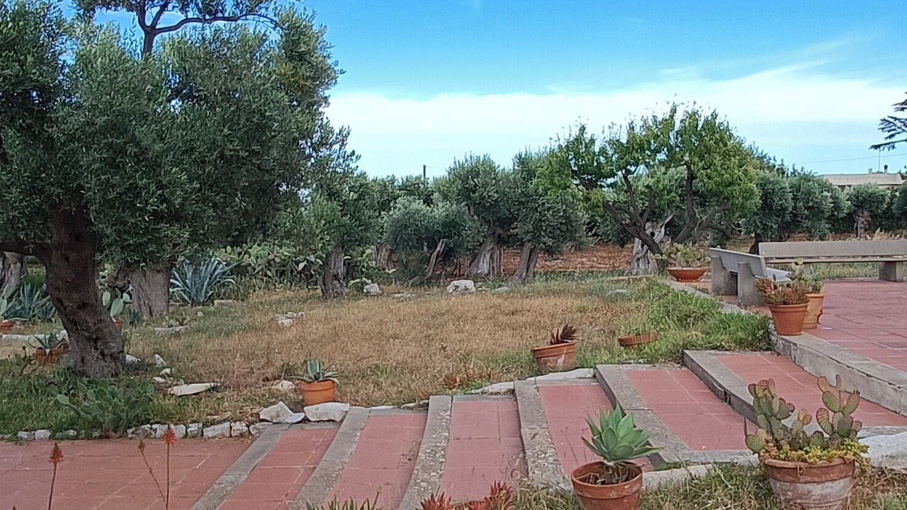 Photo of Outdoor in Conversano