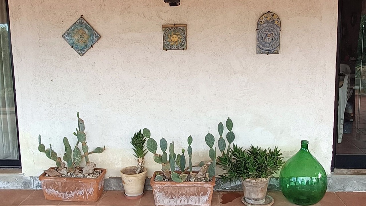 Photo of Outdoor in Conversano