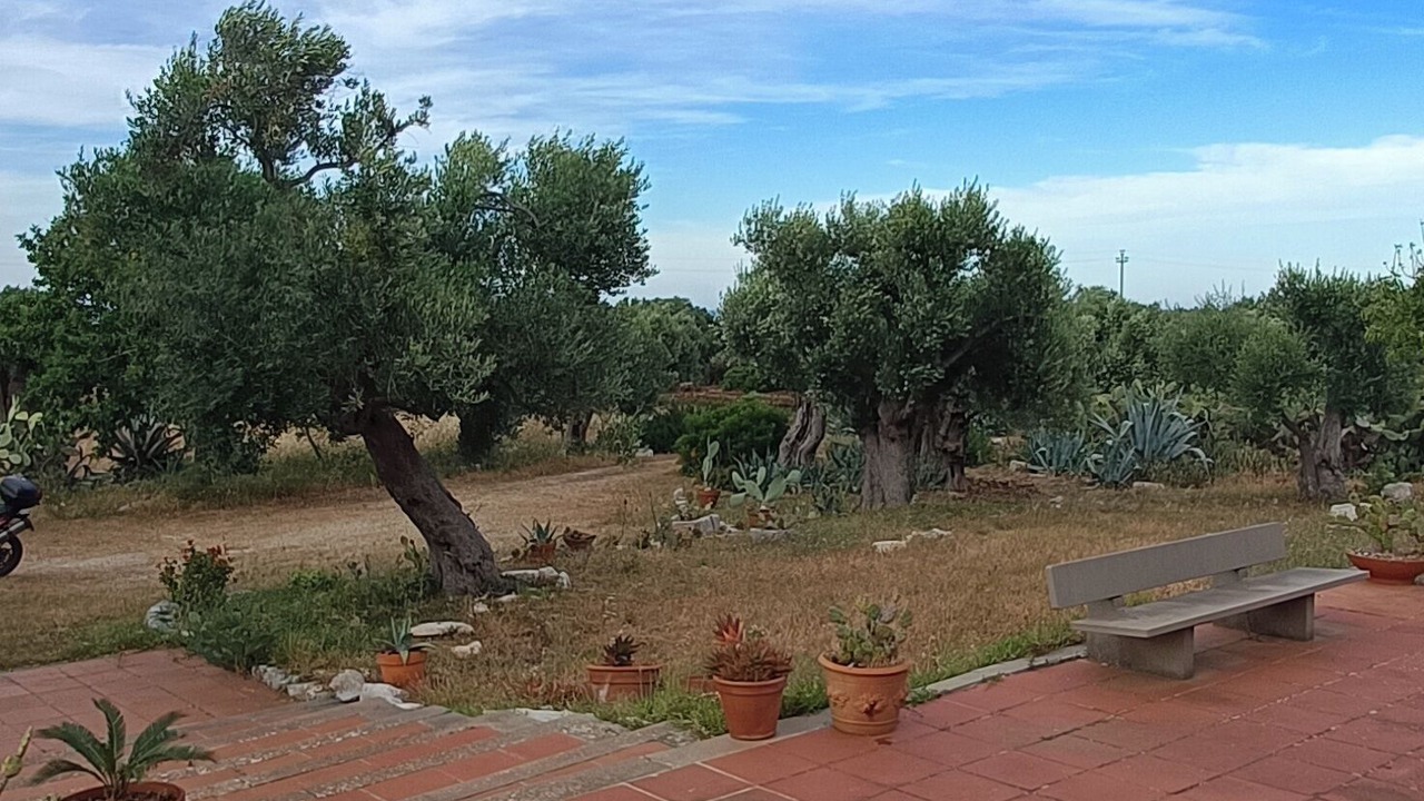 Photo of Outdoor in Conversano