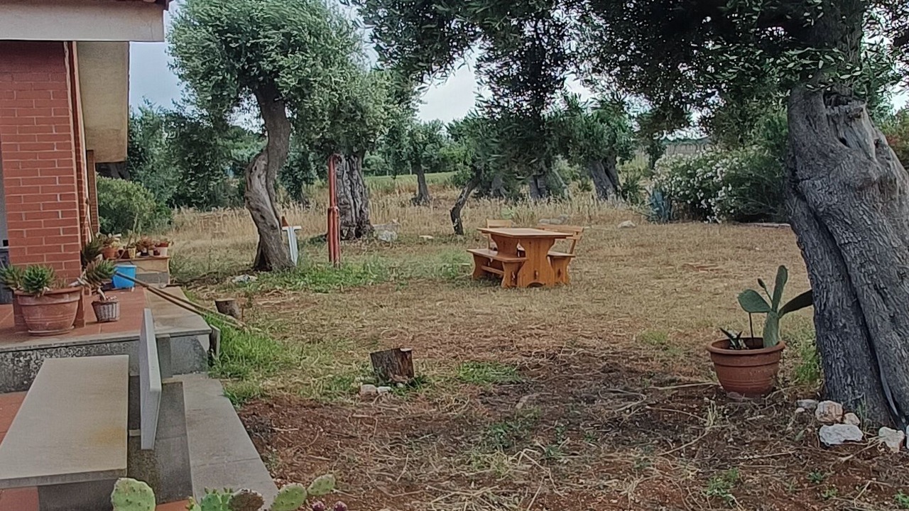 Photo of Outdoor in Conversano