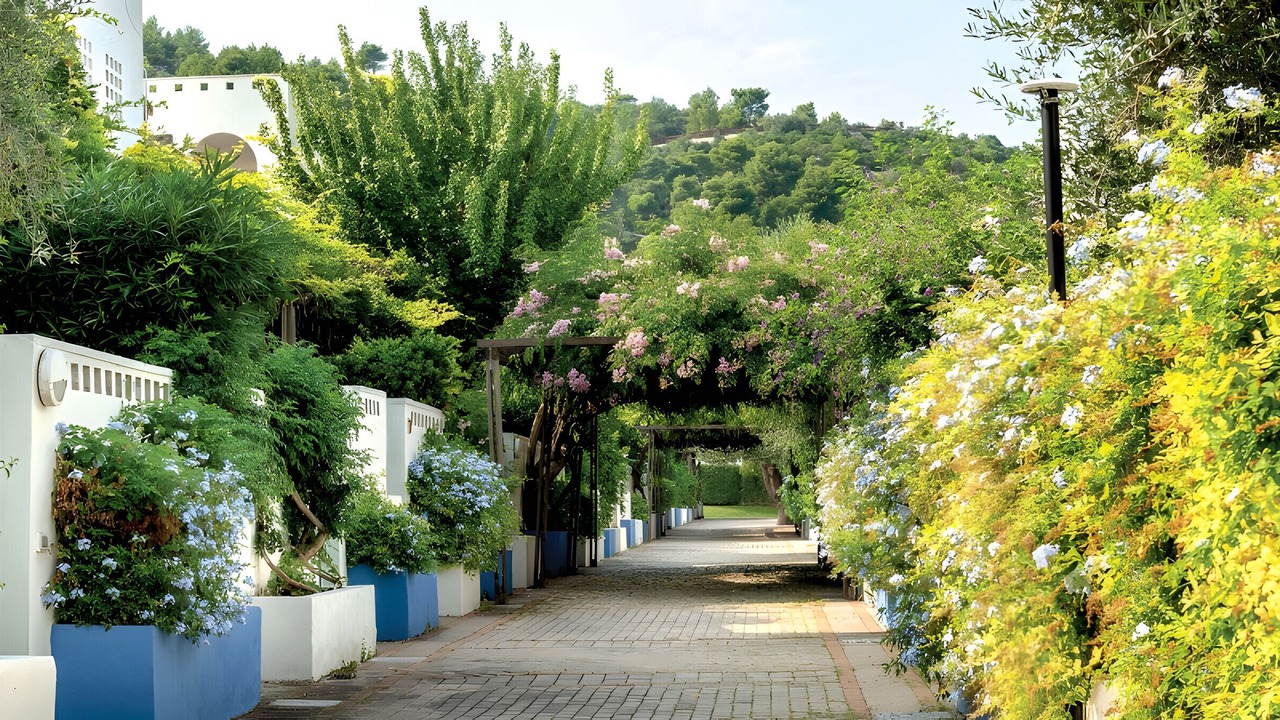 Photo of Outdoor in Peschici