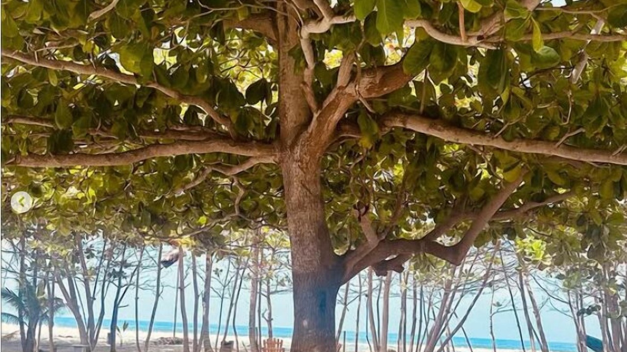 Photo of Outdoor in Las Pocitas
