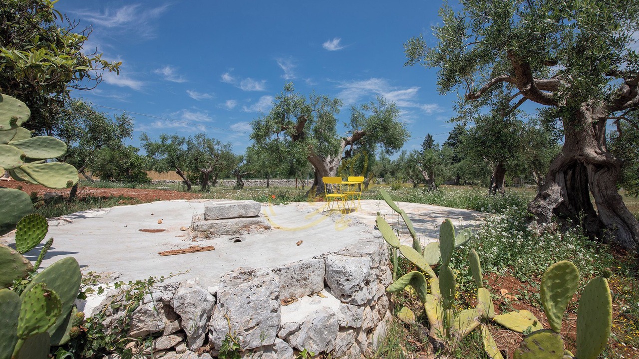 Photo of Outdoor in Putignano