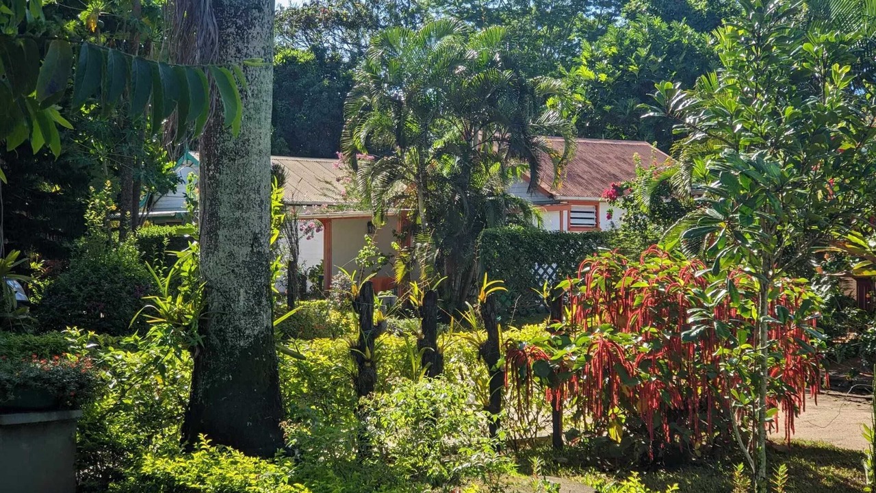 Photo of Outdoor in Foulpointe