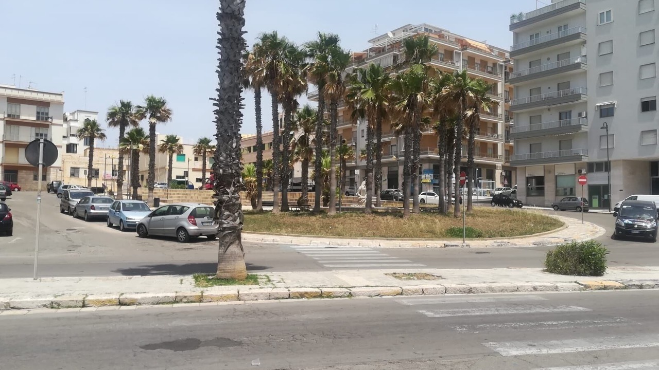 Photo of Others in Province of Lecce