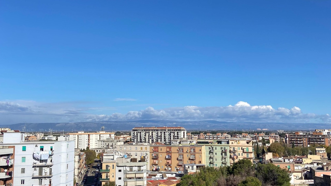 Photo of Others in Foggia