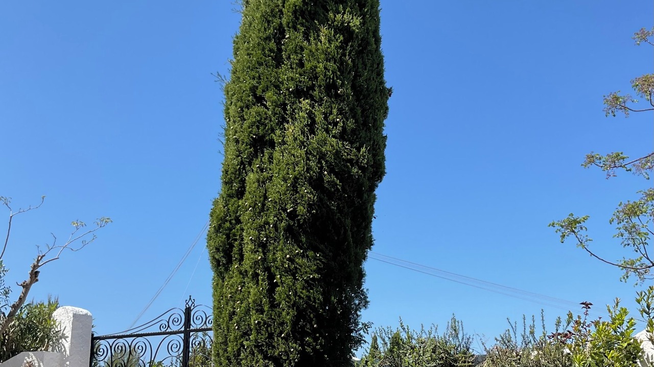 Photo of Outdoor in Peschici
