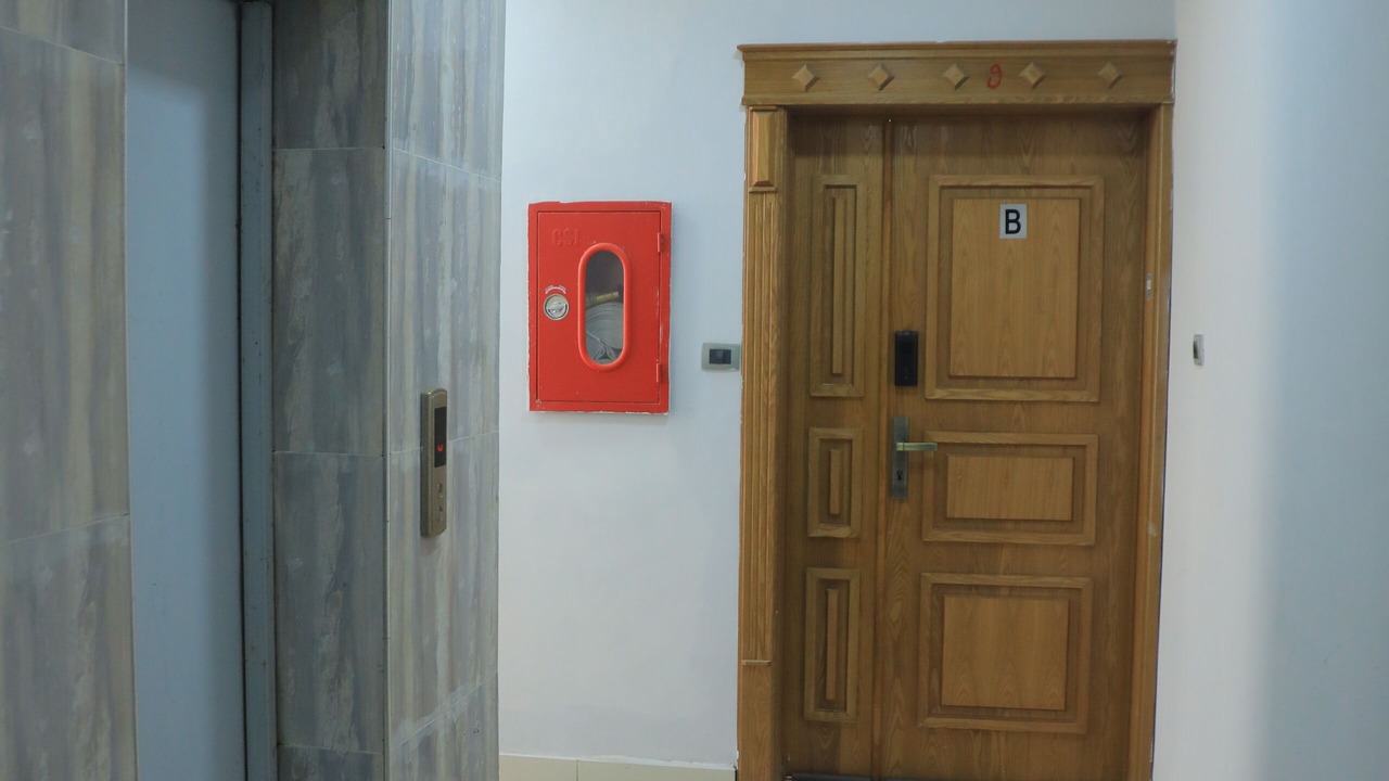 Photo of Others in Kirkos