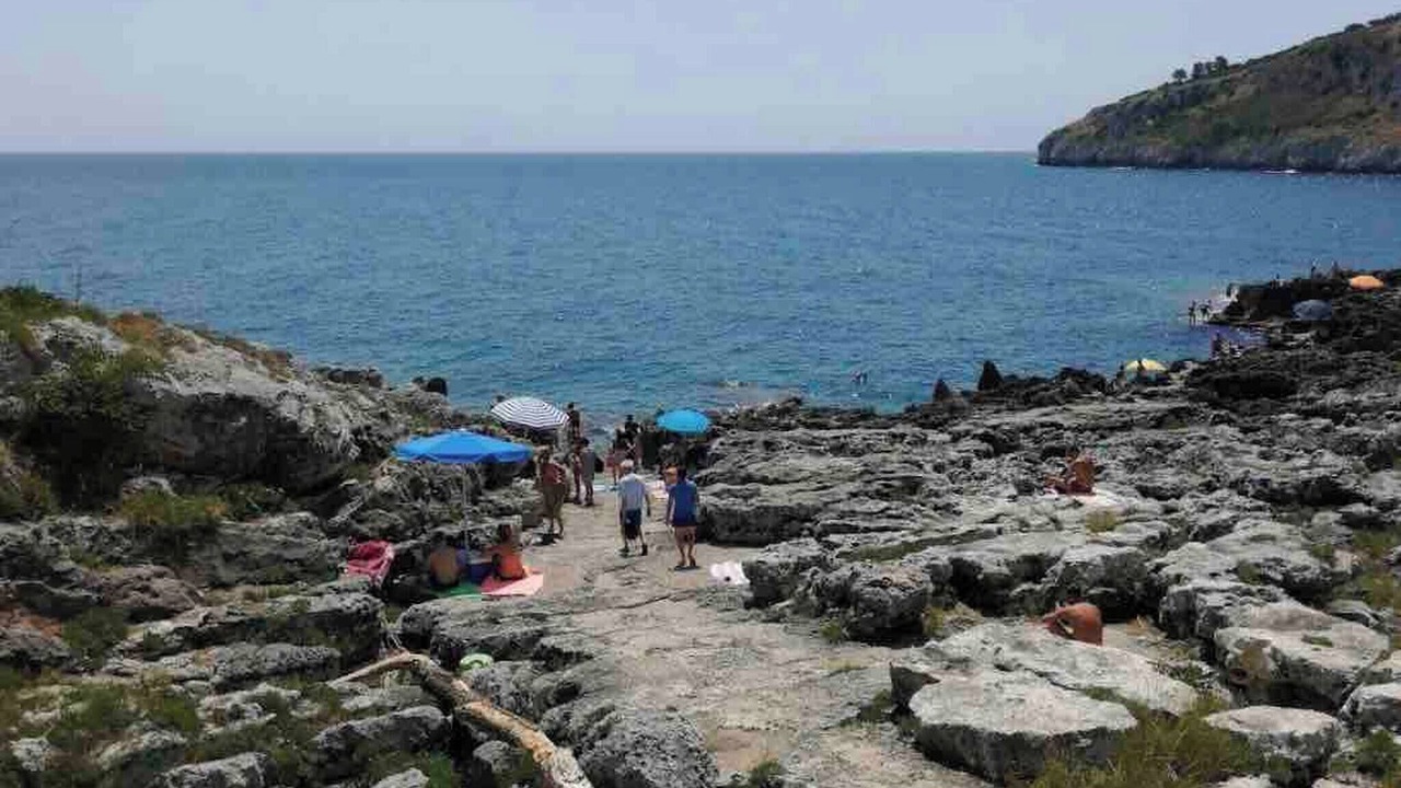 Photo of Others in Marina Serra