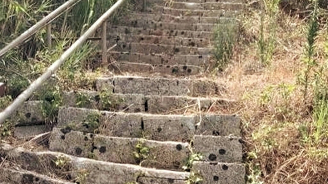 Photo of Outdoor in Marina Serra