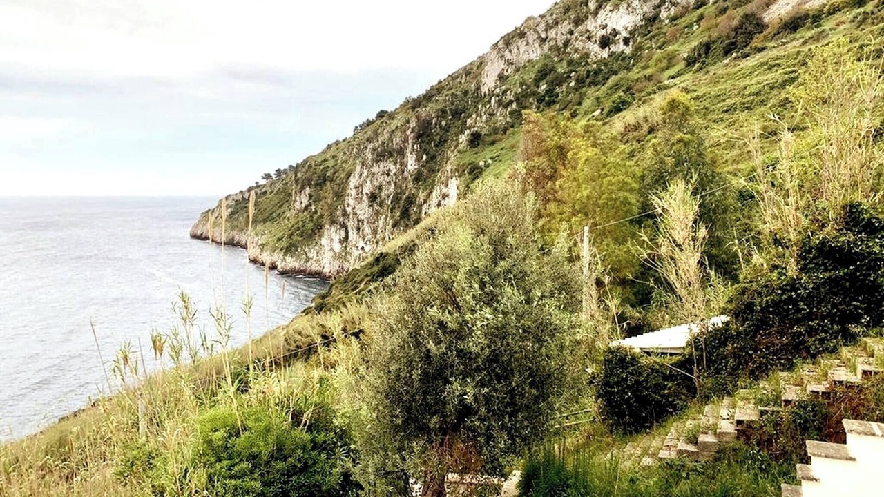 Photo of Others in Marina Serra