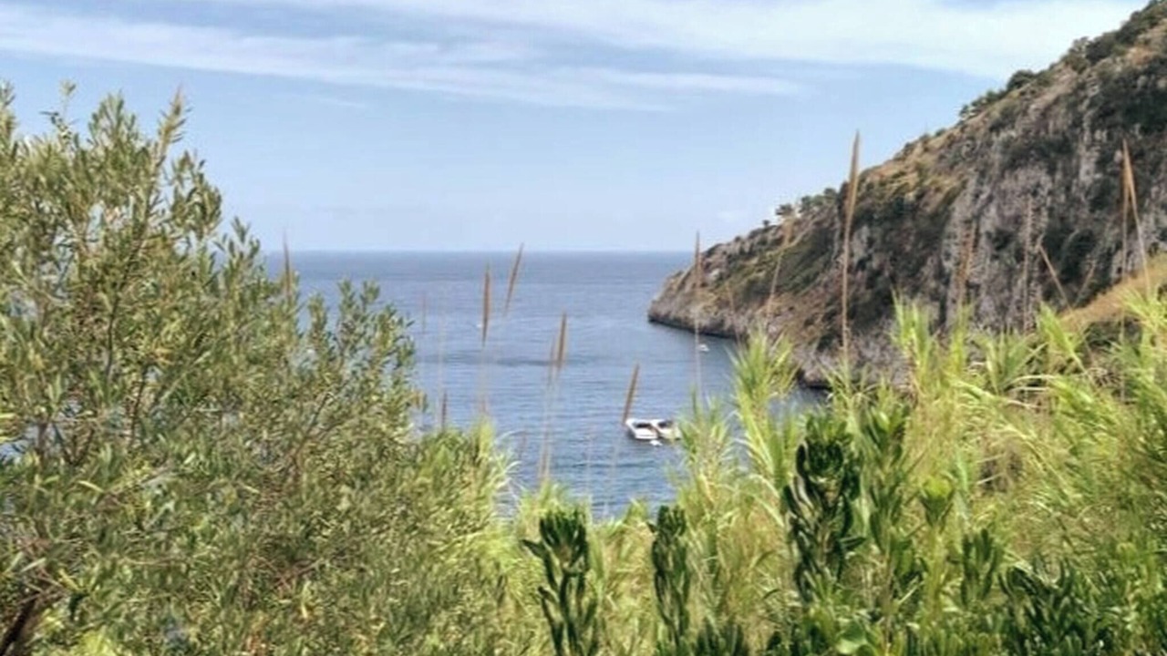 Photo of Others in Marina Serra
