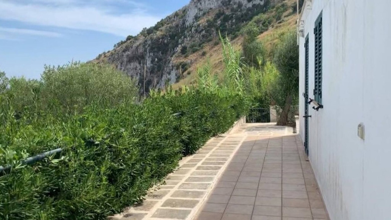 Photo of Outdoor in Marina Serra