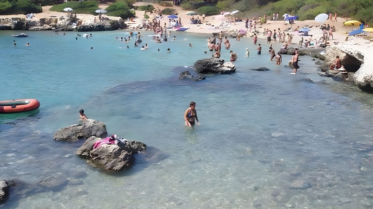 Photo of Others in Felline