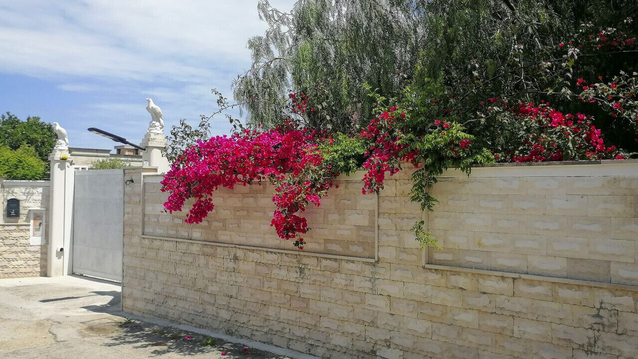 Photo of Outdoor in Trani